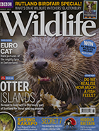 BBC Wildlife July 2017
