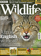 BBC Wildlife August 2018