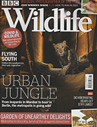 BBC Wildlife November 2020