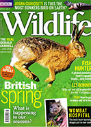 BBC Wildlife April 2017