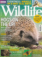 BBC Wildlife April 2018