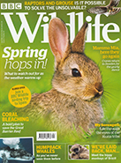 BBC Wildlife April 2019