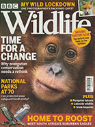 BBC Wildlife April 2021