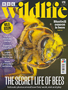 BBC Wildlife April 2022