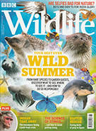 BBC Wildlife August 2019