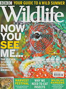 BBC Wildlife August 2021