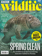 BBC Wildlife August 2023