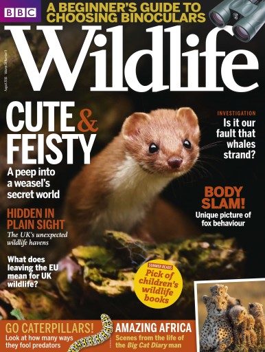 BBC Wildlife August 2016