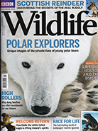 BBC Wildlife December 2016