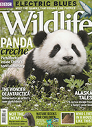 BBC Wildlife December 2017