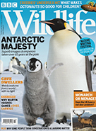 BBC Wildlife December 2018