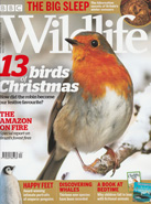 BBC Wildlife December 2019