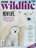 BBC Wildlife December 2021