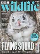 BBC Wildlife December 2022