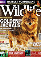 BBC Wildlife February 2017