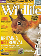 BBC Wildlife February 2018