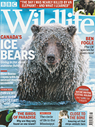 BBC Wildlife February 2019