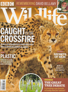 BBC Wildlife February 2020