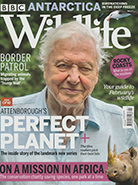 BBC Wildlife February 2021