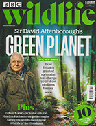 BBC Wildlife February 2022