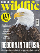 BBC Wildlife February 2025