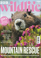 BBC Wildlife February 2026