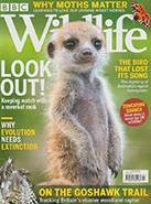 BBC Wildlife July 2021