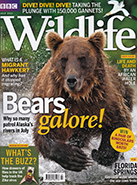 BBC Wildlife July 2017