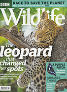 BBC Wildlife July 2019