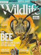 BBC Wildlife July 2020