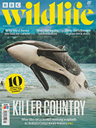 BBC Wildlife July 2022