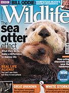 BBC Wildlife June 2016