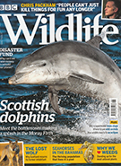 BBC Wildlife June 2019