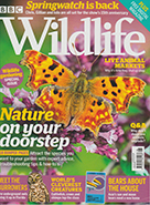 BBC Wildlife June 2020