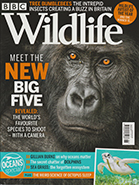 BBC Wildlife June 2021