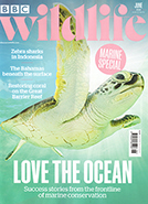BBC Wildlife June 2024