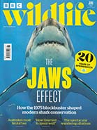 BBC Wildlife June 2025