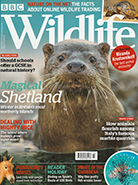 BBC Wildlife March 2019