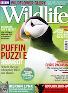 BBC Wildlife May 2016