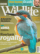 BBC Wildlife May 2020