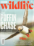 BBC Wildlife May 2024