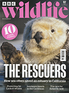 BBC Wildlife May 2025