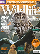BBC Wildlife November 2017