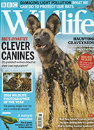 BBC Wildlife November 2018