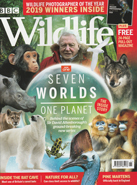 BBC Wildlife November 2019