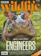 BBC Wildlife November 2021