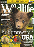 BBC Wildlife October 2018