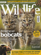 BBC Wildlife October 2019