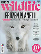 BBC Wildlife October 2022