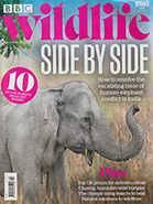 BBC Wildlife October 2023